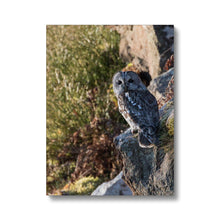 Load image into Gallery viewer, Tawny on the Rocks Canvas