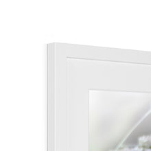 Load image into Gallery viewer, Magical Hare Framed & Mounted Print