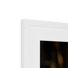 Load image into Gallery viewer, Golden Long Eared Owl Framed & Mounted Print