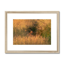 Load image into Gallery viewer, Harriet Framed & Mounted Print