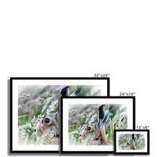 Load image into Gallery viewer, Magical Hare Framed & Mounted Print