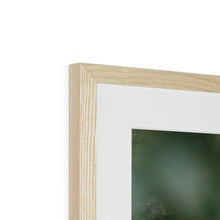 Load image into Gallery viewer, Owl In Hollow Framed & Mounted Print