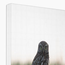 Load image into Gallery viewer, Little Owl Canvas