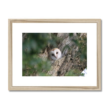 Load image into Gallery viewer, Hello Barn Owl Framed & Mounted Print