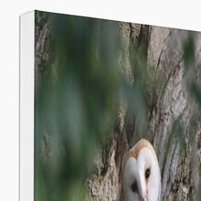 Load image into Gallery viewer, Hello Barn Owl Canvas