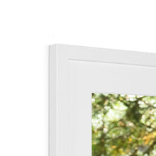 Load image into Gallery viewer, Mission Impossible Red Squirrel Framed & Mounted Print