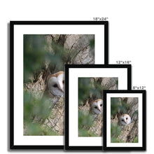 Load image into Gallery viewer, Hello Barn Owl Framed & Mounted Print