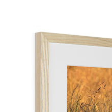 Load image into Gallery viewer, Harriet Framed & Mounted Print