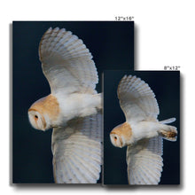 Load image into Gallery viewer, Barn Owl In The Dark Canvas