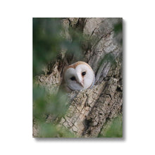 Load image into Gallery viewer, Hello Barn Owl Canvas