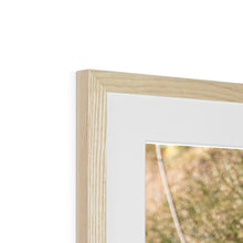 Load image into Gallery viewer, Tawny on the Rocks Framed & Mounted Print