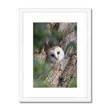 Load image into Gallery viewer, Hello Barn Owl Framed & Mounted Print
