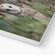 Load image into Gallery viewer, Owl In Hollow Canvas