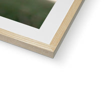 Load image into Gallery viewer, Little Owl Framed & Mounted Print