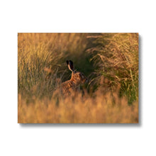 Load image into Gallery viewer, Harriet Canvas