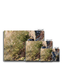 Load image into Gallery viewer, Tawny on the Rocks Canvas