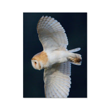 Load image into Gallery viewer, Barn Owl In The Dark Fine Art Print