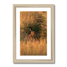 Load image into Gallery viewer, Harriet Framed & Mounted Print