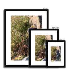 Load image into Gallery viewer, Tawny on the Rocks Framed & Mounted Print