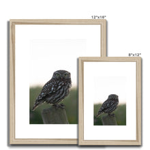 Load image into Gallery viewer, Little Owl Framed & Mounted Print