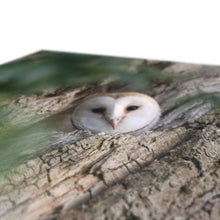 Load image into Gallery viewer, Hello Barn Owl Canvas