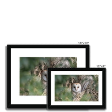 Load image into Gallery viewer, Owl In Hollow Framed & Mounted Print