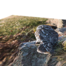 Load image into Gallery viewer, Tawny on the Rocks Canvas