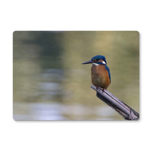 Load image into Gallery viewer, Kingfisher Placemat