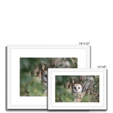 Load image into Gallery viewer, Owl In Hollow Framed & Mounted Print