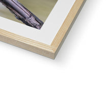 Load image into Gallery viewer, Kingfisher Framed & Mounted Print
