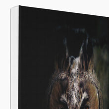 Load image into Gallery viewer, Looking in to your soul Canvas