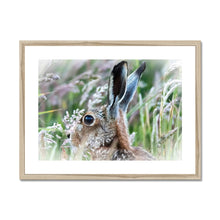 Load image into Gallery viewer, Magical Hare Framed & Mounted Print