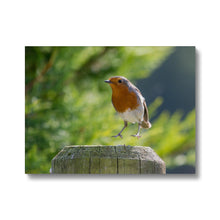 Load image into Gallery viewer, Jumping for Joy Canvas