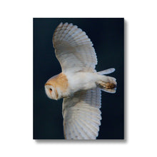 Load image into Gallery viewer, Barn Owl In The Dark Canvas