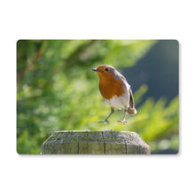 Load image into Gallery viewer, Jumping for Joy Placemat