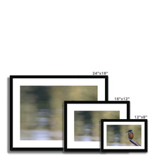 Load image into Gallery viewer, Kingfisher Framed & Mounted Print