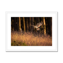 Load image into Gallery viewer, Golden Long Eared Owl Framed & Mounted Print