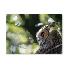 Load image into Gallery viewer, Long Eared Owl Placemat