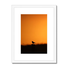 Load image into Gallery viewer, Sunset Tweet Framed & Mounted Print