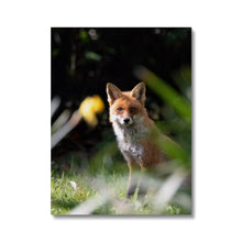 Load image into Gallery viewer, Foxy Canvas