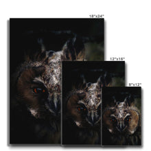 Load image into Gallery viewer, Looking in to your soul Canvas