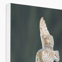Load image into Gallery viewer, Barn Owl putting on a show Canvas