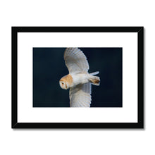 Load image into Gallery viewer, Barn Owl In The Dark Framed & Mounted Print