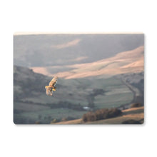 Load image into Gallery viewer, Barn Owl over the Peaks Placemat
