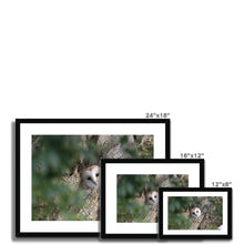 Load image into Gallery viewer, Hello Barn Owl Framed & Mounted Print
