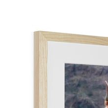 Load image into Gallery viewer, Raspberry Cow Framed & Mounted Print