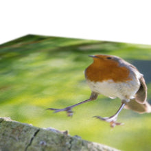 Load image into Gallery viewer, Jumping for Joy Canvas