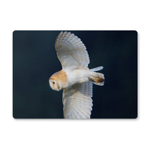 Load image into Gallery viewer, Barn Owl In The Dark Placemat