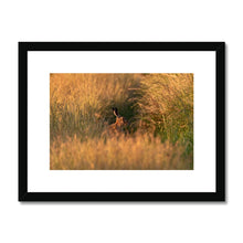 Load image into Gallery viewer, Harriet Framed & Mounted Print