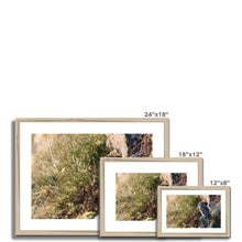 Load image into Gallery viewer, Tawny on the Rocks Framed & Mounted Print